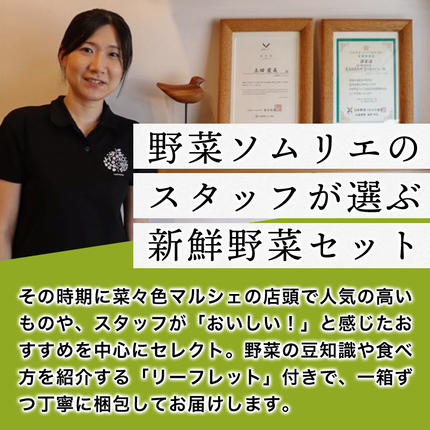 山口県萩市のふるさと納税 野菜ソムリエプロselect／萩・季節の食材定期便 隔月発送・3回コース