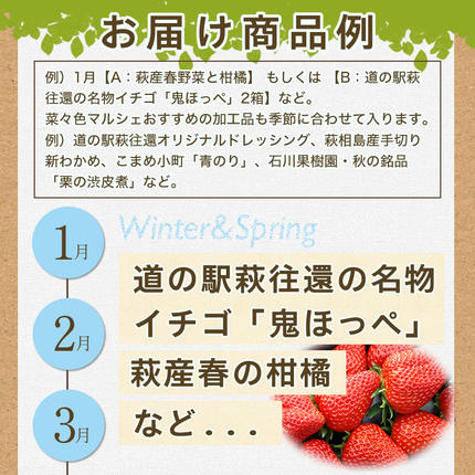 山口県萩市のふるさと納税 野菜ソムリエプロselect／萩・季節の食材定期便 隔月発送・3回コース