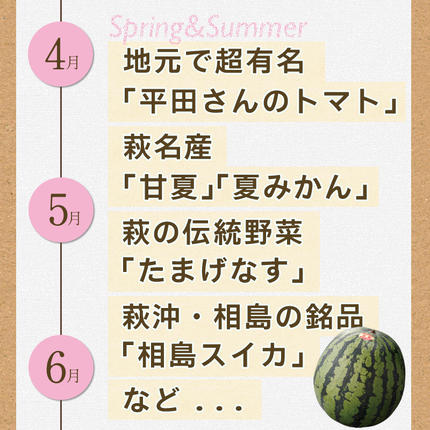 山口県萩市のふるさと納税 野菜ソムリエプロselect／萩・季節の食材定期便 隔月発送・3回コース