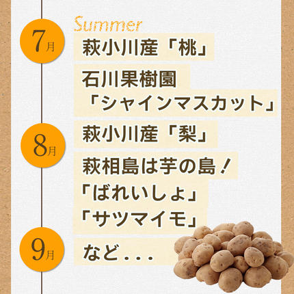山口県萩市のふるさと納税 野菜ソムリエプロselect／萩・季節の食材定期便 隔月発送・3回コース