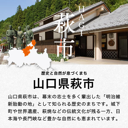 山口県萩市のふるさと納税 野菜ソムリエプロselect／萩・季節の食材定期便 隔月発送・3回コース