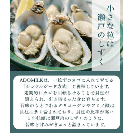 香川県東かがわ市のふるさと納税 香川県東かがわ市産生食用牡蠣・ADOMILK 12個セット アドミルク あどみるく