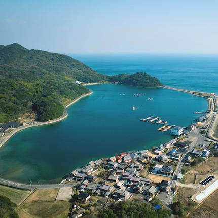 香川県東かがわ市のふるさと納税 香川県東かがわ市産生食用牡蠣・ADOMILK 12個セット アドミルク あどみるく