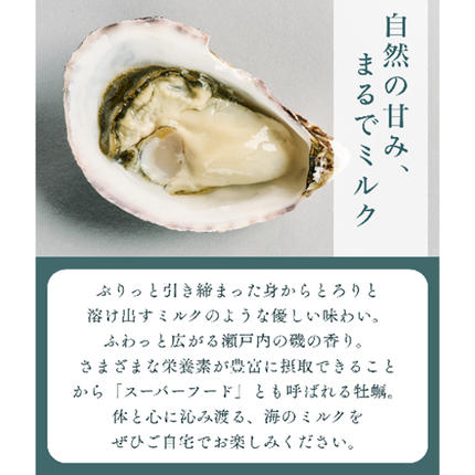香川県東かがわ市のふるさと納税 香川県東かがわ市産生食用牡蠣・ADOMILK 12個セット アドミルク あどみるく