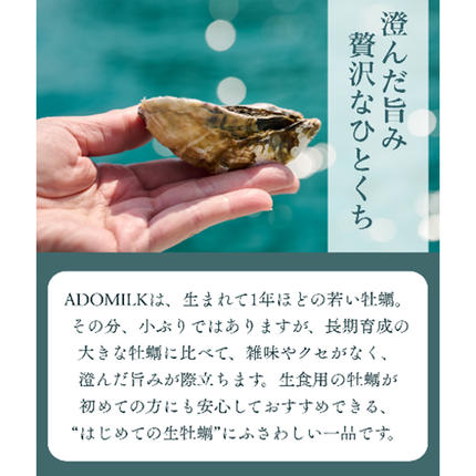 香川県東かがわ市のふるさと納税 香川県東かがわ市産生食用牡蠣・ADOMILK 12個セット アドミルク あどみるく
