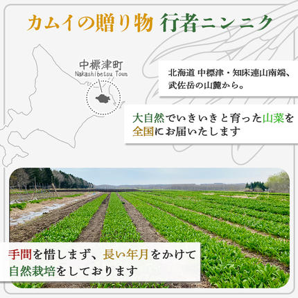 行者にんにくグリーン行者・ホワイト行者 計5袋（葉部・茎部
