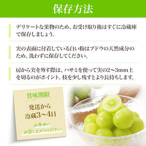 秋田県にかほ市のふるさと納税 【先行予約】 [訳あり]  シャインマスカット 2房 計1kg～1.2kg（1房 500～600g）＜出荷時期：2026年10月上旬～10月中旬ごろ＞【数量限定 期間限定 果物 果物類 フルーツ ぶどう ブドウ 葡萄 マスカット 秋田 にかほ】