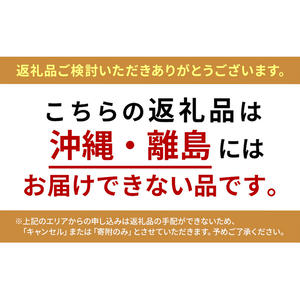 秋田県にかほ市のふるさと納税 【先行予約】 [訳あり]  シャインマスカット 2房 計1kg～1.2kg（1房 500～600g）＜出荷時期：2026年10月上旬～10月中旬ごろ＞【数量限定 期間限定 果物 果物類 フルーツ ぶどう ブドウ 葡萄 マスカット 秋田 にかほ】
