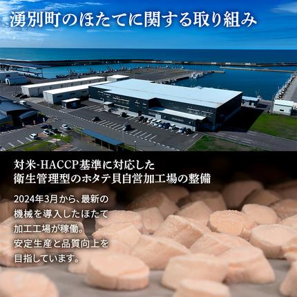 北海道湧別町のふるさと納税 【最短当日発送】北海道オホーツク 湧別沖 ほたて 玉冷小分け パック  600g（300g×2P）【 ホタテ 帆立 ほたて スタンドパック 海鮮 刺身 貝 貝柱 魚介 魚介類 冷凍 北海道 湧別町 】