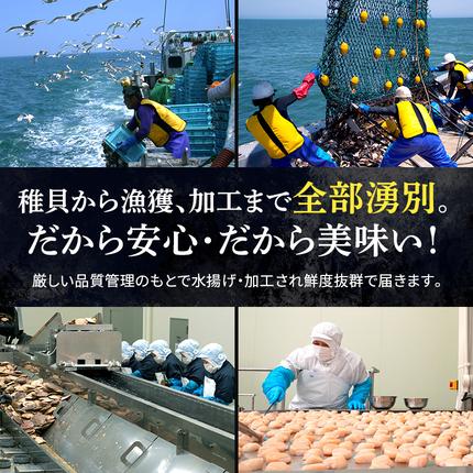 北海道湧別町のふるさと納税 【最短当日発送】北海道オホーツク 湧別沖 ほたて 玉冷小分け パック  900g（300g×3P）【 ホタテ 帆立 ほたて スタンドパック 海鮮 刺身 貝 貝柱 魚介 魚介類 冷凍 北海道 湧別町 】