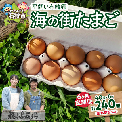【定期便】飛ぶ鳥農場　海の街たまご　40個