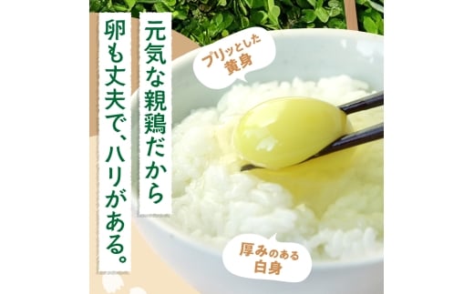 北海道石狩市のふるさと納税 【定期便】飛ぶ鳥農場　海の街たまご　40個×6か月