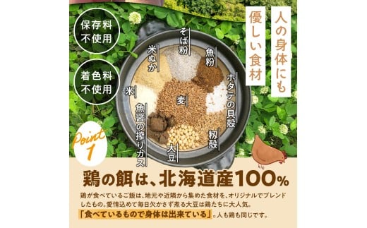 北海道石狩市のふるさと納税 【定期便】飛ぶ鳥農場　海の街たまご　40個×6か月