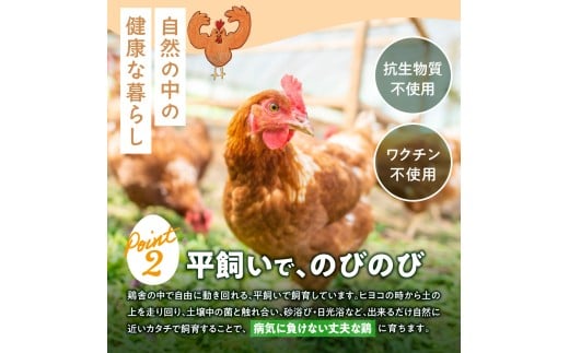 北海道石狩市のふるさと納税 【定期便】飛ぶ鳥農場　海の街たまご　40個×6か月