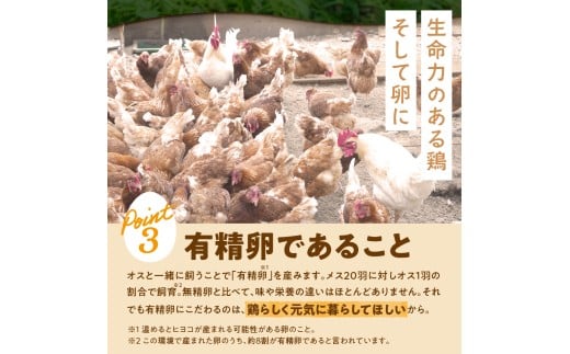 北海道石狩市のふるさと納税 【定期便】飛ぶ鳥農場　海の街たまご　40個×6か月
