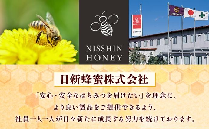 岐阜県安八町のふるさと納税 アルゼンチン&カナダ産はちみつ720g 3本入り 2セット 海外産 はちみつ 詰め合わせ ギフト ハニー honey 蜂蜜 甘味料 ハチミツ パン 菓子 トースト ホットケーキ ヨーグルト 調味料 隠し味 常温 常備 お取り寄せ 日新蜂蜜 送料無料 岐阜県 安八町