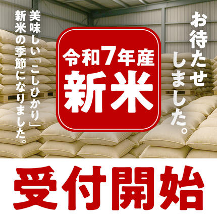 茨城県つくばみらい市のふるさと納税 ＼ 新米先行予約 ／ コシヒカリ 5kg 令和7年産精米 【 数量限定 】茨城県つくばみらい市産 米 コメ 単一米 13000 茨城県産 国産 発送 コスパ こしひかり [CL143-NT]