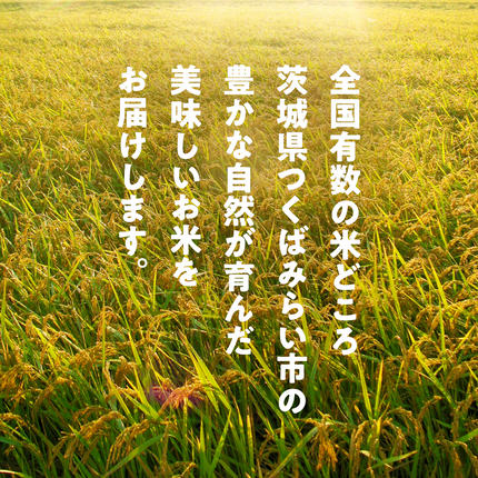 茨城県つくばみらい市のふるさと納税 ＼ 新米先行予約 ／ コシヒカリ 5kg 令和7年産精米 【 数量限定 】茨城県つくばみらい市産 米 コメ 単一米 13000 茨城県産 国産 発送 コスパ こしひかり [CL143-NT]