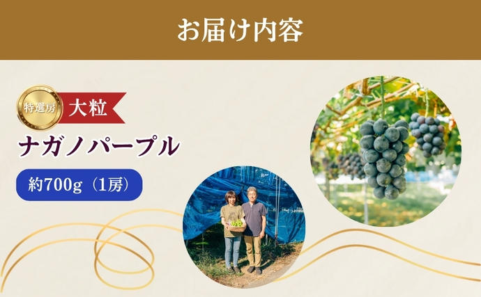 2026年産 ぶどう ナガノパープル 約600g（1房）果物 フルーツ デザート