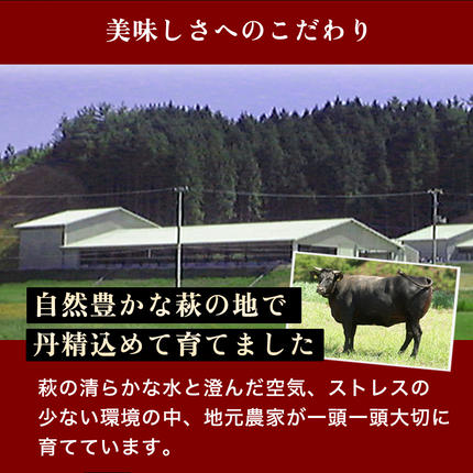 山口県萩市のふるさと納税 数量限定 牛肉 ばら カルビ 焼肉 400g