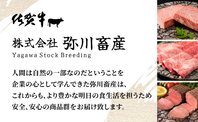 佐賀県大町町のふるさと納税 佐賀県産黒毛和牛ヒレステーキ 420g