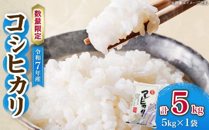 令和7年産 コシヒカリ 計5kg お米 ご