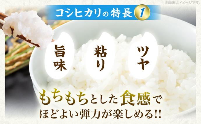 宮崎県日南市のふるさと納税 令和7年産 コシヒカリ 計5kg お米 ご飯 ライス 国産 数量限定 期間限定 人気 食品 精米 白米 こしひかり 有洗米 おにぎり お弁当 炊き込みご飯 雑炊 ギフト プレゼント 贈り物 お取り寄せ 産地直送 宮崎県 日南市 送料無料_BB168-25