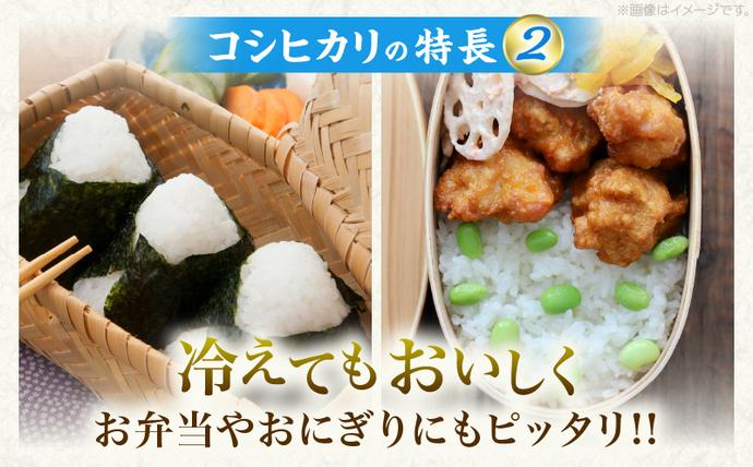 宮崎県日南市のふるさと納税 令和7年産 コシヒカリ 計5kg お米 ご飯 ライス 国産 数量限定 期間限定 人気 食品 精米 白米 こしひかり 有洗米 おにぎり お弁当 炊き込みご飯 雑炊 ギフト プレゼント 贈り物 お取り寄せ 産地直送 宮崎県 日南市 送料無料_BB168-25