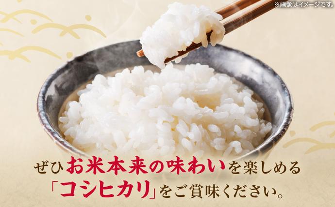 宮崎県日南市のふるさと納税 令和7年産 コシヒカリ 計5kg お米 ご飯 ライス 国産 数量限定 期間限定 人気 食品 精米 白米 こしひかり 有洗米 おにぎり お弁当 炊き込みご飯 雑炊 ギフト プレゼント 贈り物 お取り寄せ 産地直送 宮崎県 日南市 送料無料_BB168-25