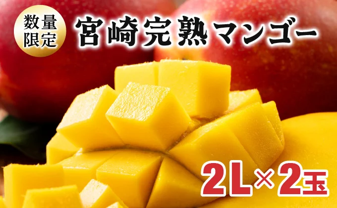 [令和8年発送分 先行予約!][数量限定] 串間産完熟マンゴー(2L×2玉)