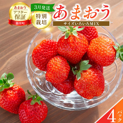 福岡県産 特別栽培 あまおう サイズいろい