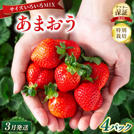 いちご 福岡県産 特別栽培 あまおう サイ