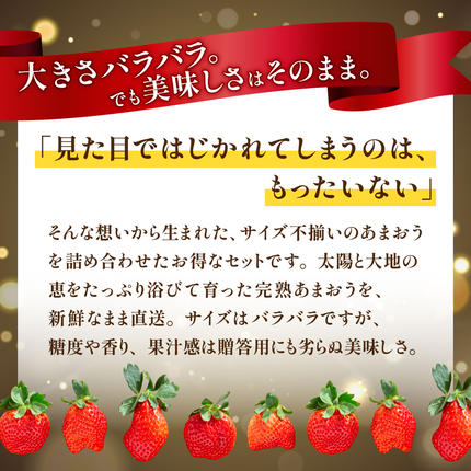 福岡県篠栗町のふるさと納税 いちご 福岡県産 特別栽培 あまおう サイズいろいろMIX 約1140g（約285g×4パック）【3月発送】 | 農園直送 アフター保証 先行予約 福岡産 送料無料 ケーキ ギフト お祝い 限定 季節限定 UN002