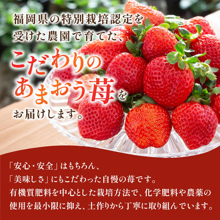 福岡県篠栗町のふるさと納税 いちご 福岡県産 特別栽培 あまおう サイズいろいろMIX 約1140g（約285g×4パック）【3月発送】 | 農園直送 アフター保証 先行予約 福岡産 送料無料 ケーキ ギフト お祝い 限定 季節限定 UN002