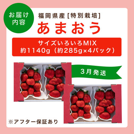 福岡県篠栗町のふるさと納税 いちご 福岡県産 特別栽培 あまおう サイズいろいろMIX 約1140g（約285g×4パック）【3月発送】 | 農園直送 アフター保証 先行予約 福岡産 送料無料 ケーキ ギフト お祝い 限定 季節限定 UN002