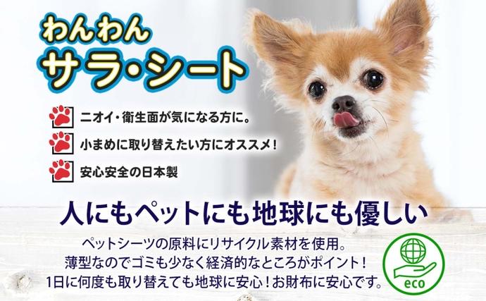 わんわんサラ・シート お徳用レギュラー 200枚×4個 ペットシーツ