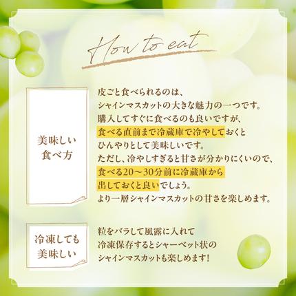 山梨県甲斐市のふるさと納税 【2026年発送分】シャインマスカット「こだわり」１kg以上　先行予約　2～3房　人気　おすすめ　国産　贈答　ギフト　お取り寄せ　　山梨県産　産地直送　フルーツ　果物　くだもの　ぶどう　ブドウ　葡萄　シャイン　シャインマスカット　新鮮　CD-1