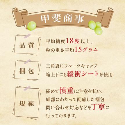 山梨県甲斐市のふるさと納税 【2026年分発送】 最高級 シャインマスカット 2～3房 約1.5kg 先行予約 山梨県産 産地直送 フルーツ 果物 くだもの ぶどう ブドウ 葡萄 シャイン シャインマスカット 新鮮 人気 おすすめ 国産 贈答 ギフト お取り寄せ 山梨 甲斐市 AN-11