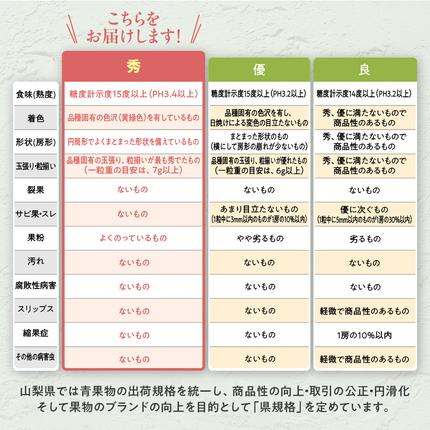 山梨県甲斐市のふるさと納税 【2026年分発送】 最高級 シャインマスカット 2～3房 約1.5kg 先行予約 山梨県産 産地直送 フルーツ 果物 くだもの ぶどう ブドウ 葡萄 シャイン シャインマスカット 新鮮 人気 おすすめ 国産 贈答 ギフト お取り寄せ 山梨 甲斐市 AN-11