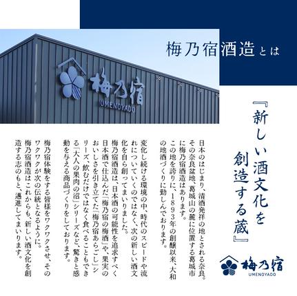 奈良県葛城市のふるさと納税 梅乃宿 あらごしジンジャー ７２０ｍｌ ／ ジンジャー リキュール スパイシー 国産 すりおろし しょうが 爽やかな 香り 奈良県 葛城市