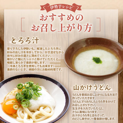 三重県多気町のふるさと納税 伊勢いも すりおろし 冷凍とろろ 伊勢いも 芋 イモ とろろ 伊勢芋 とろろ芋 すりおろし 野菜 農作物 お手軽 とろろ汁 ご飯 そば つけ汁 健康 稀少 名産品 簡単 便利 個包装 粘り 冷凍 三重県 多気町 HK-01