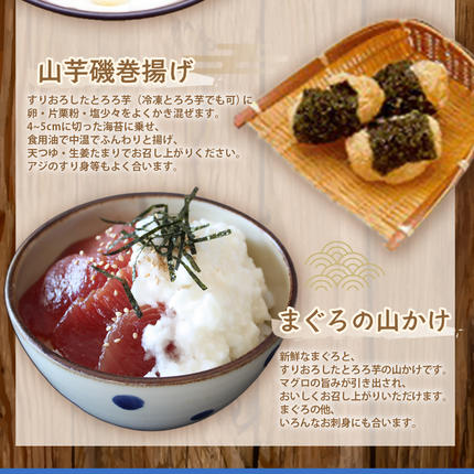 三重県多気町のふるさと納税 伊勢いも すりおろし 冷凍とろろ 伊勢いも 芋 イモ とろろ 伊勢芋 とろろ芋 すりおろし 野菜 農作物 お手軽 とろろ汁 ご飯 そば つけ汁 健康 稀少 名産品 簡単 便利 個包装 粘り 冷凍 三重県 多気町 HK-01