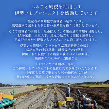 三重県多気町のふるさと納税 伊勢いも すりおろし 冷凍とろろ 伊勢いも 芋 イモ とろろ 伊勢芋 とろろ芋 すりおろし 野菜 農作物 お手軽 とろろ汁 ご飯 そば つけ汁 健康 稀少 名産品 簡単 便利 個包装 粘り 冷凍 三重県 多気町 HK-01