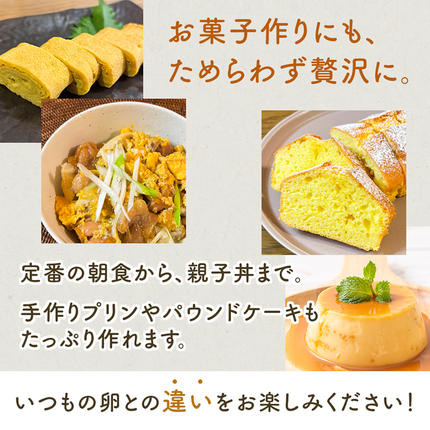 神奈川県伊勢原市のふるさと納税 《2026年4月中旬より順次発送》坂本養鶏 大山の麓で育った さかもとのたまご 80個 (72個＋割れ保証8個)｜伊勢原市 赤玉卵 玉子 鶏卵 生卵 国産 TKG タマゴ 新鮮 大山 鶏 ギフト 安心 安全 親子丼 卵焼き 目玉焼き お菓子 [0926]