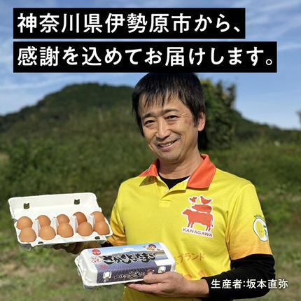 神奈川県伊勢原市のふるさと納税 《2026年4月中旬より順次発送》坂本養鶏 大山の麓で育った さかもとのたまご 80個 (72個＋割れ保証8個)｜伊勢原市 赤玉卵 玉子 鶏卵 生卵 国産 TKG タマゴ 新鮮 大山 鶏 ギフト 安心 安全 親子丼 卵焼き 目玉焼き お菓子 [0926]