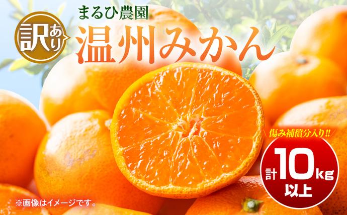 訳あり 温州 みかん 計10kg以上 傷み