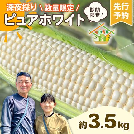 【先行予約 2026年6月下旬以降発送 】
