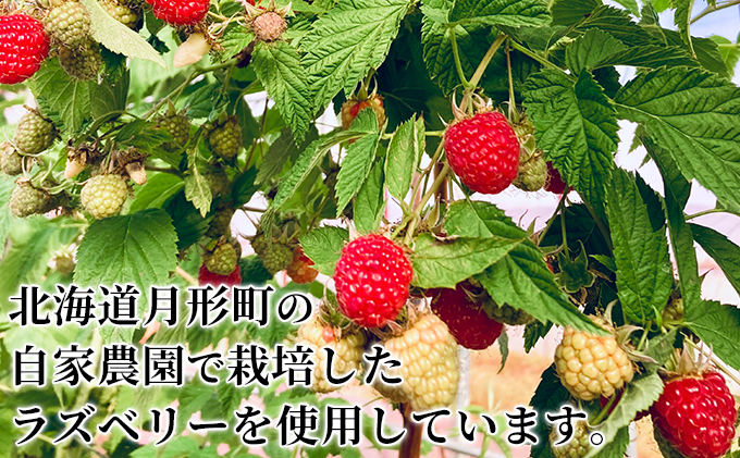北海道月形町のふるさと納税 【セゾン限定】自家農園産 ラズベリー ジャム 味比べ セット（金銀各1本）北海道 月形町 食べ比べ 加工品 フルーツジャム 果物ジャム 甘酸っぱい 食品添加物不使用 パン ヨーグルト 塗る 付ける