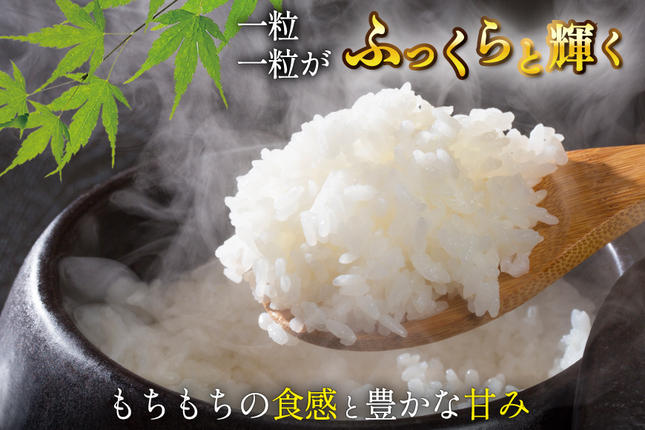宮城県気仙沼市のふるさと納税 米 令和7年産 宮城県産 とまたんのひとめぼれ 3kg [サンフレッシュ小泉農園 宮城県 気仙沼市 20565645] ひとめぼれ ブランド米 白米 精米 ご飯 ごはん コメ こめ お米 小分け 家庭用