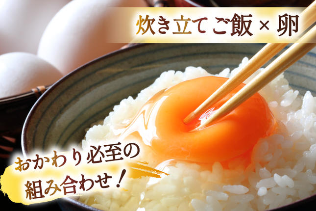 宮城県気仙沼市のふるさと納税 米 令和7年産 宮城県産 とまたんのひとめぼれ 3kg [サンフレッシュ小泉農園 宮城県 気仙沼市 20565645] ひとめぼれ ブランド米 白米 精米 ご飯 ごはん コメ こめ お米 小分け 家庭用
